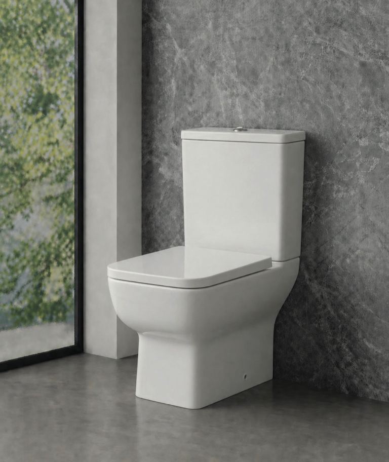 NEW RIMLESS TOILET 