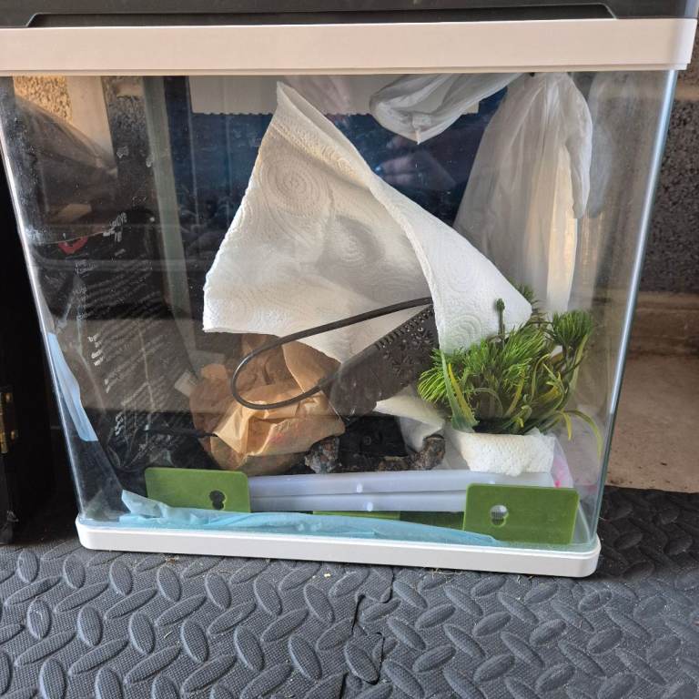 Small Fish Tank