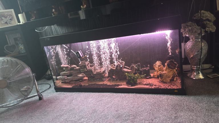 Large Black Aquarium Fish Tank with Accessories