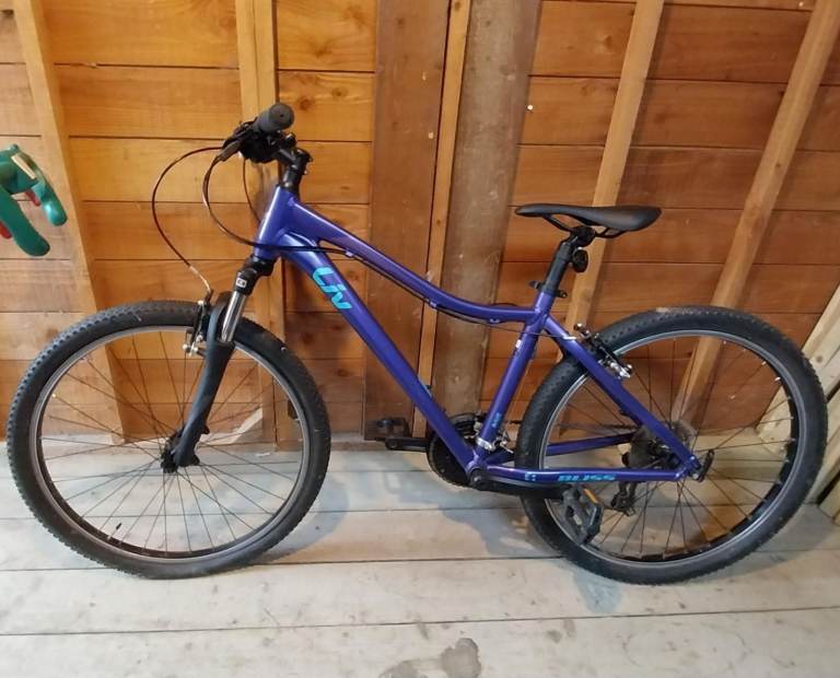 2020 Liv Bliss 3 Disc Hardtail Mountain Bike - Purple 