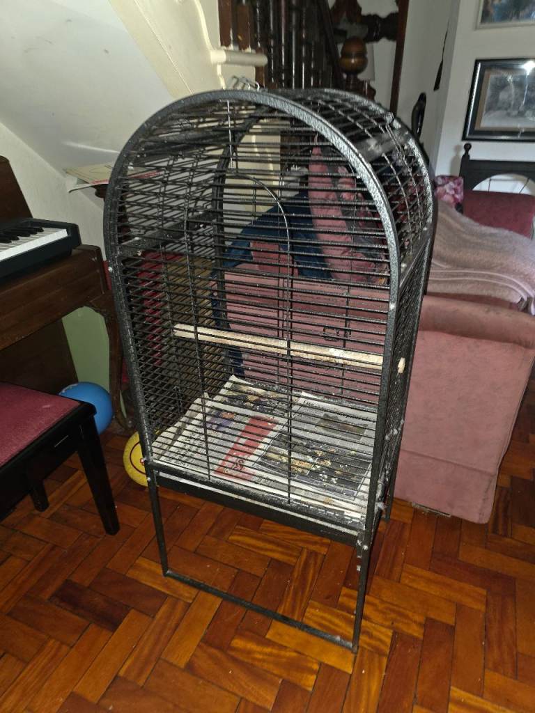 Large bird cage 