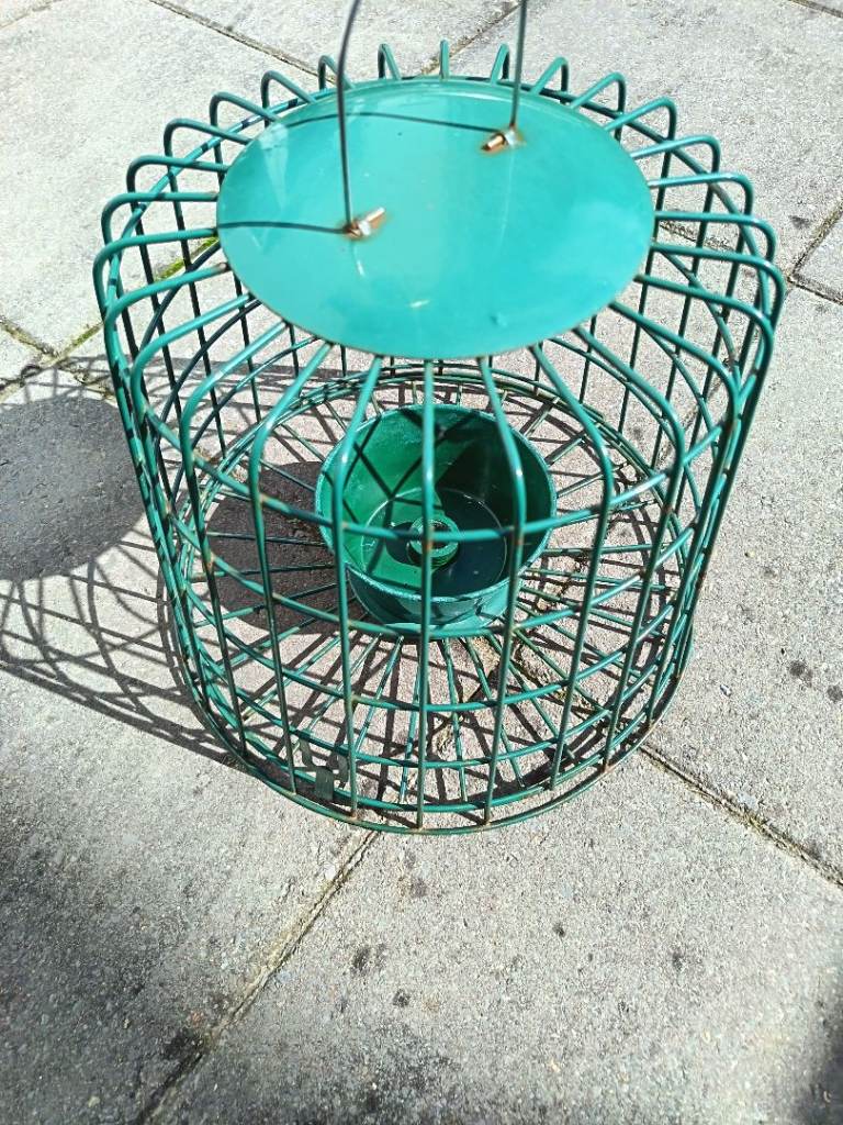 Wild Bird Feeder