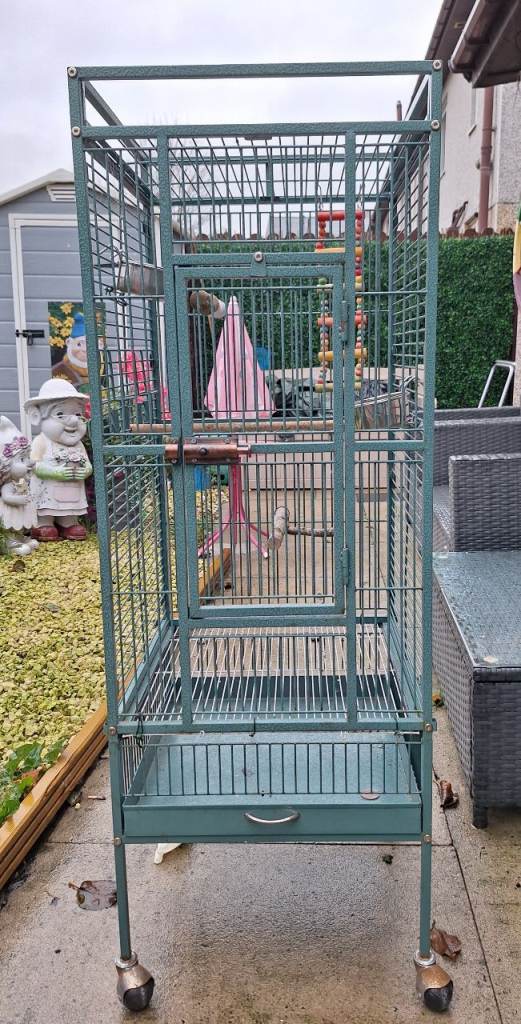 Used bird cage 