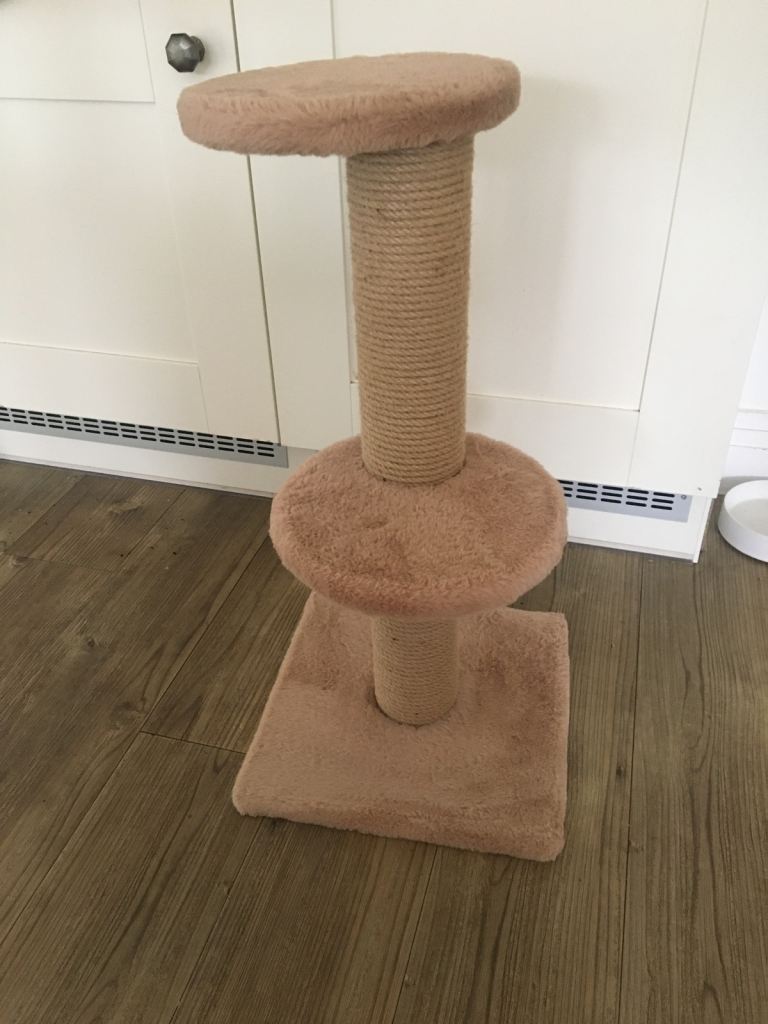 Small cat tree/ scratching post 
