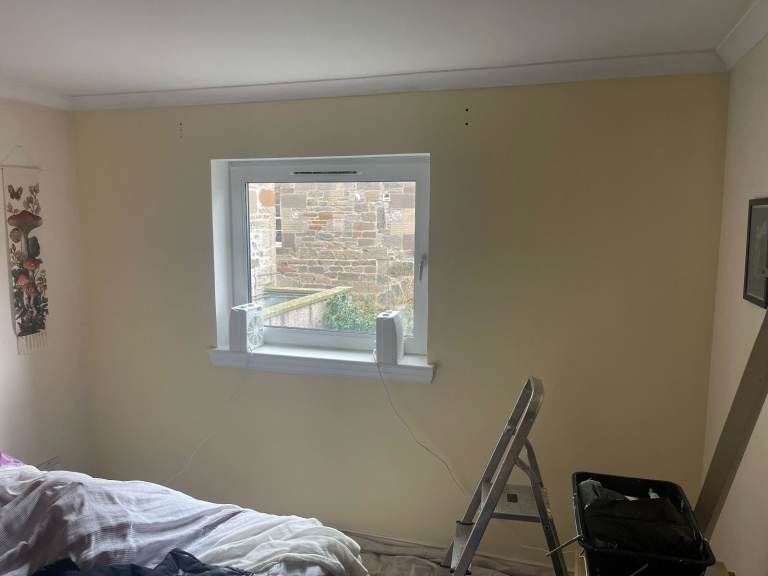 experienced handyman/maintenance services 