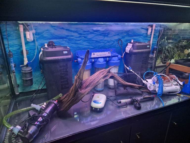 Fish Tank, Aquarium Boyu 520L  with cabinet & 2 X Fluval 406 – full setup