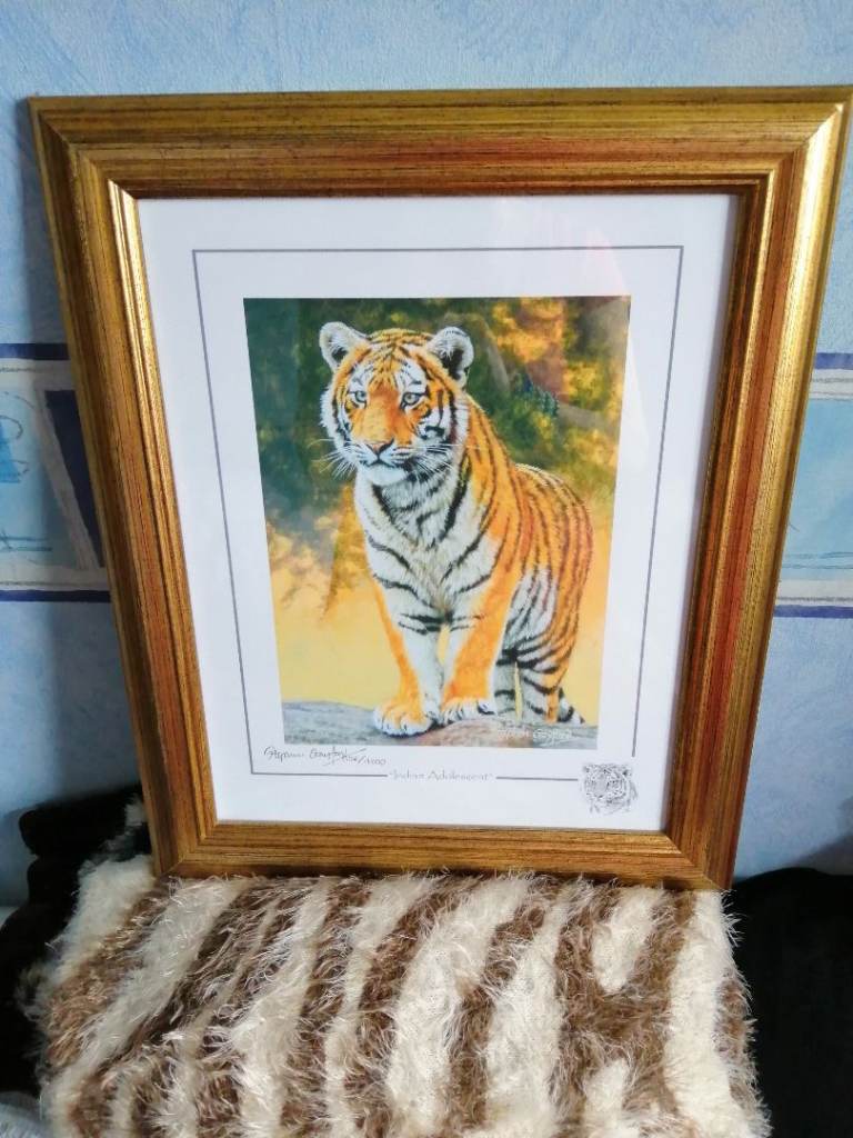 Stephen Gayford Indian Adolescent Limited Edition Print 43 x 35 cm 