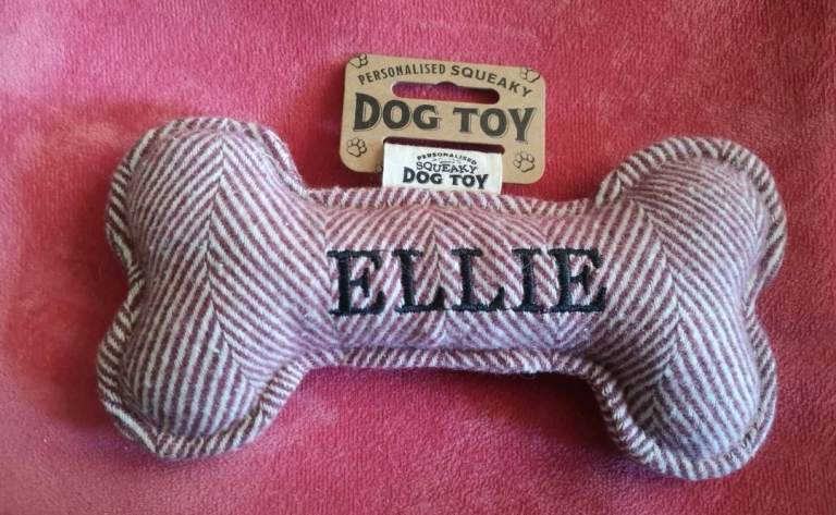 Ellie Pink Soft Bone Squeaky Dog Toy - Brand New