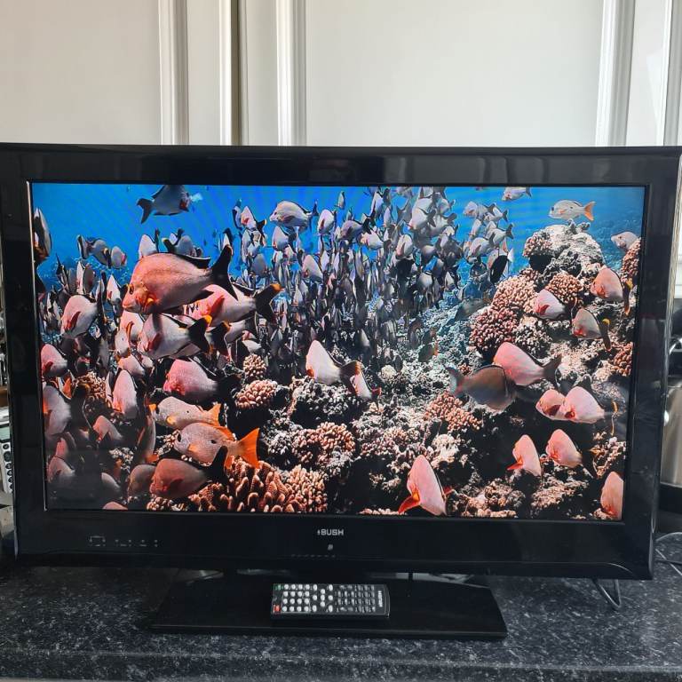 Bush television 