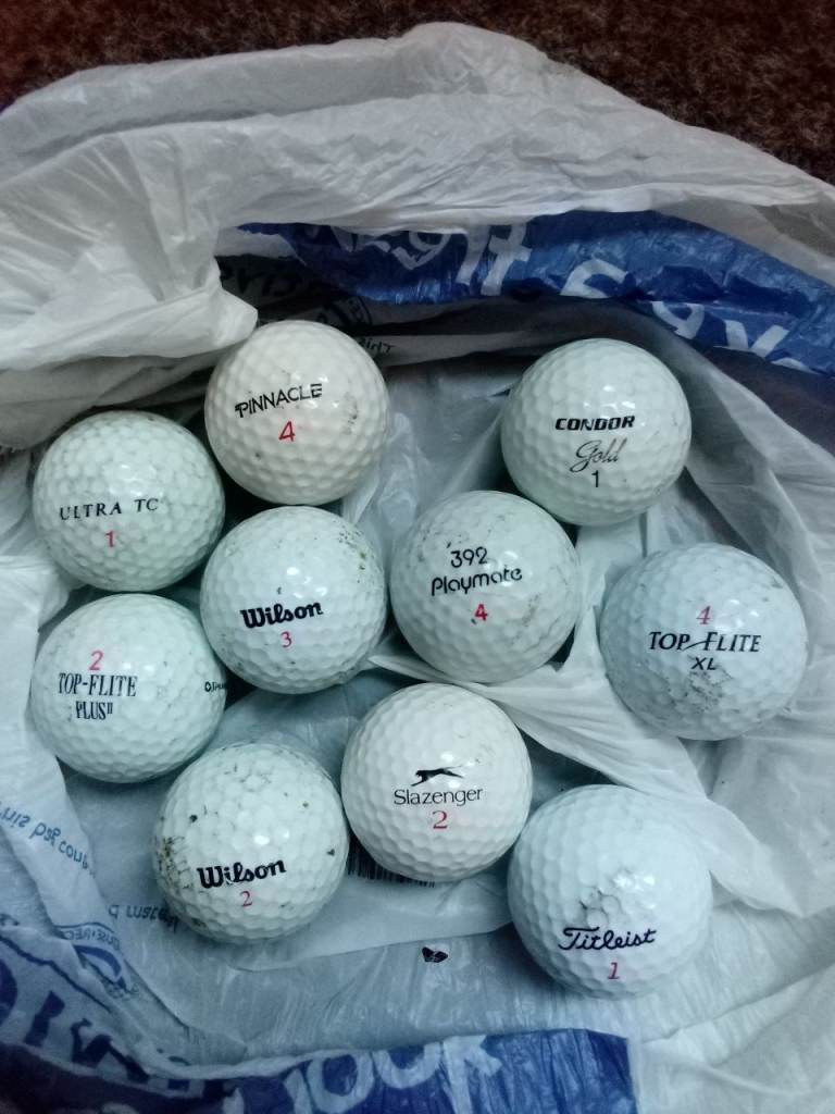 Bundle of 10 Used Golf Balls (Titleist, Wilson, Top-Flite, Slazenger)