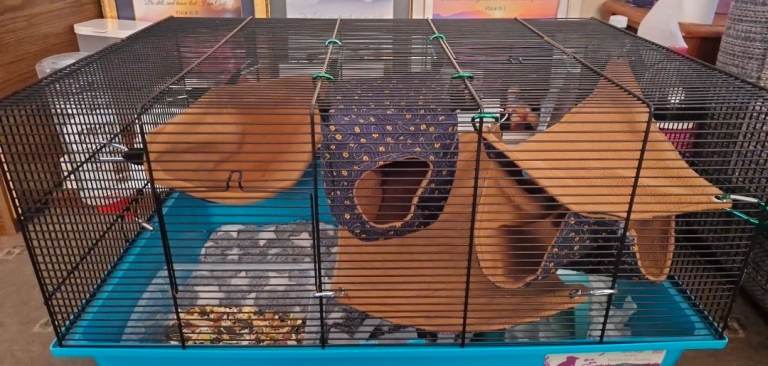 5 cages For sale £10 each