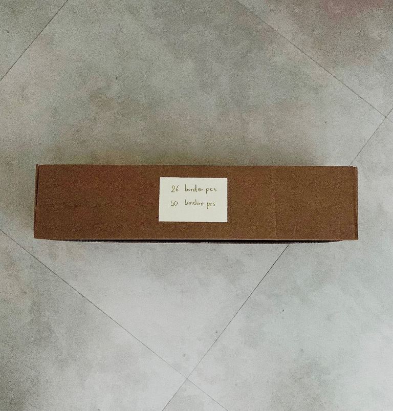 🧲 Bulk Green Magnets – Border & Strip Pieces – 76 Total