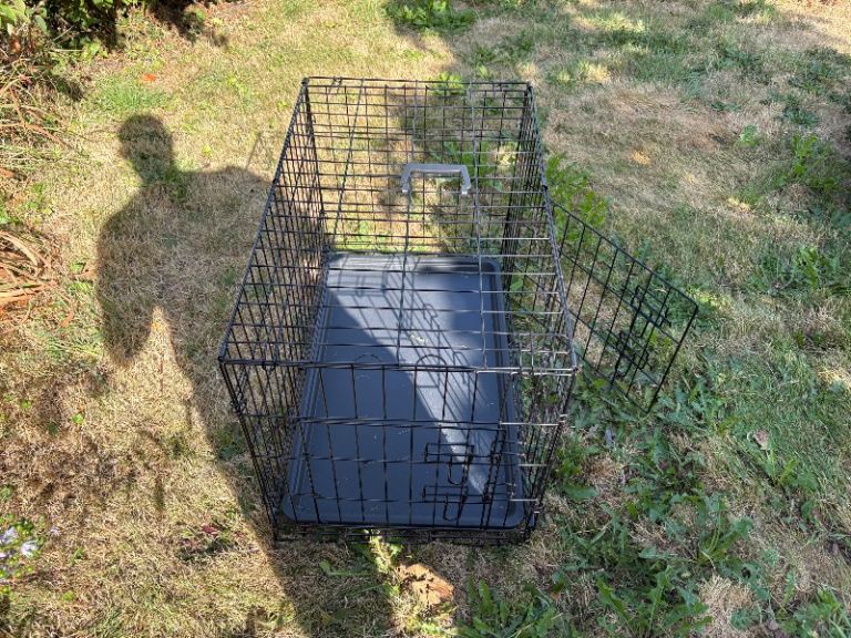 Dog crate 