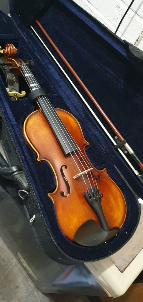 Violin in carry case