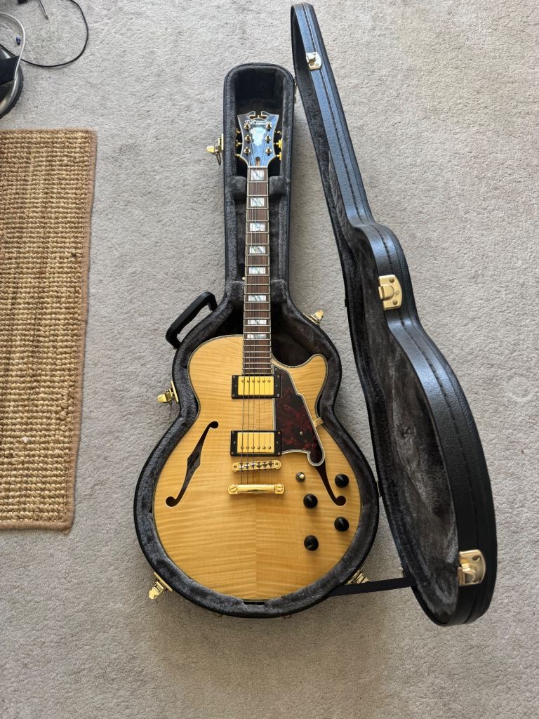 D’Angelico Excel SS
