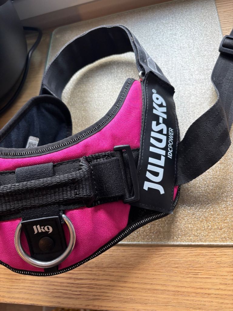Julius-K9 IDC Power Harness in Pink