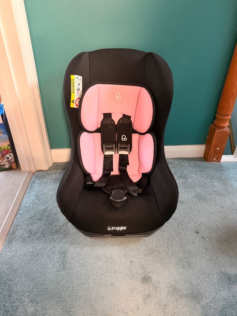 Puggle Car Seat