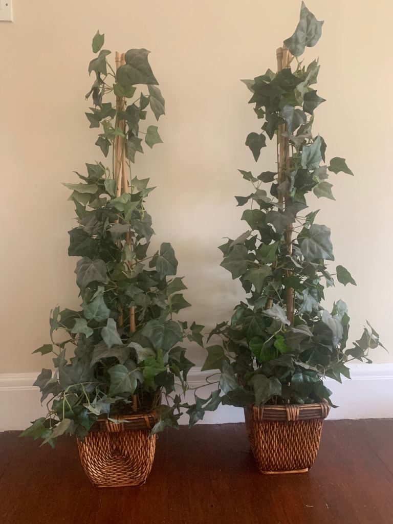 Pair of Artificial Ivy Topiary Plants in Wicker Baskets