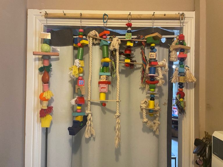 Parrot toys and parrot stands