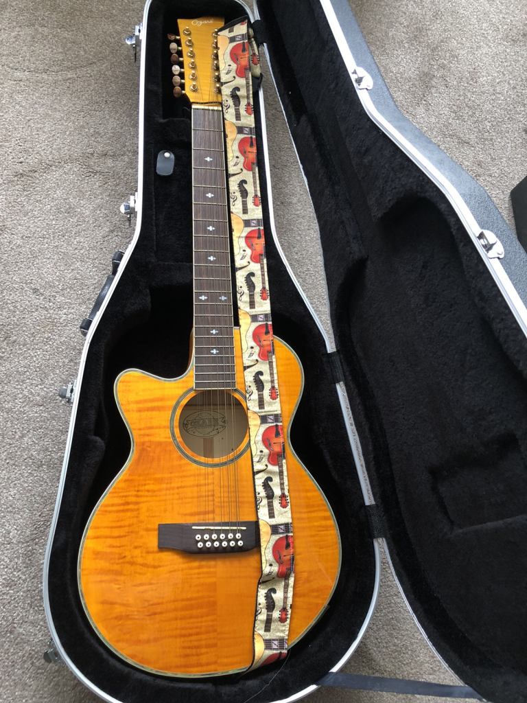 Left Handed 12 String Semi-Acoustic Guitar + Hard Case (electro-acoustic)