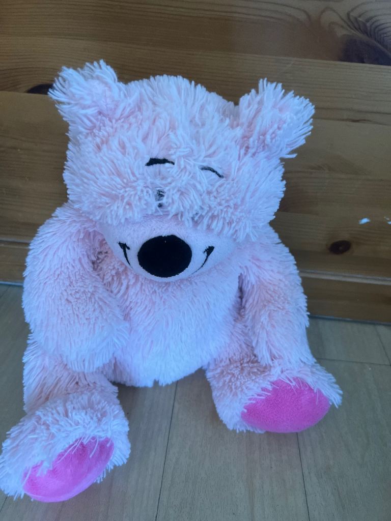 Pink teddy 