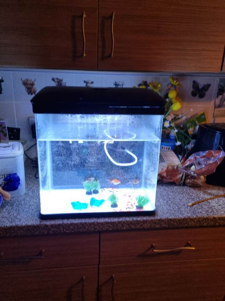 Fish tank