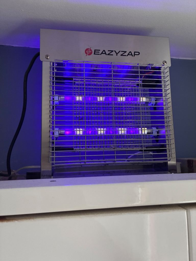 fly zapper. Catering fly zapper. Fly zapp 