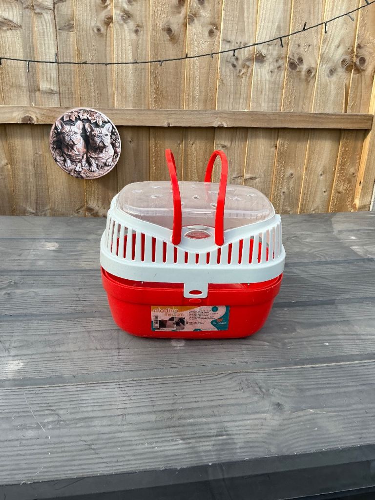 Pod pet carrier 