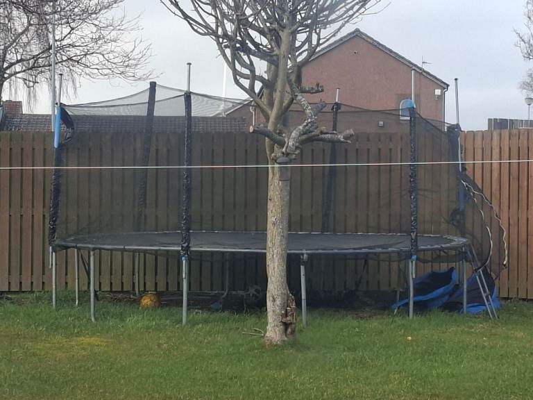 Large Trampoline FREE