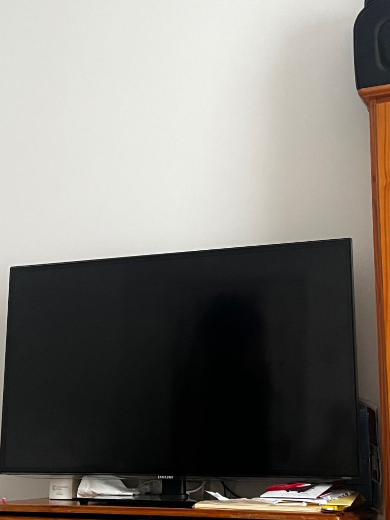 Samsung Flat Screen TV 