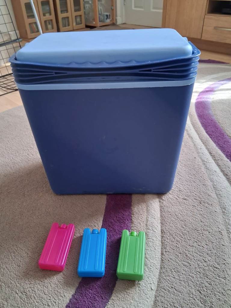 Ice/Cool Box with x3 Ice Packs