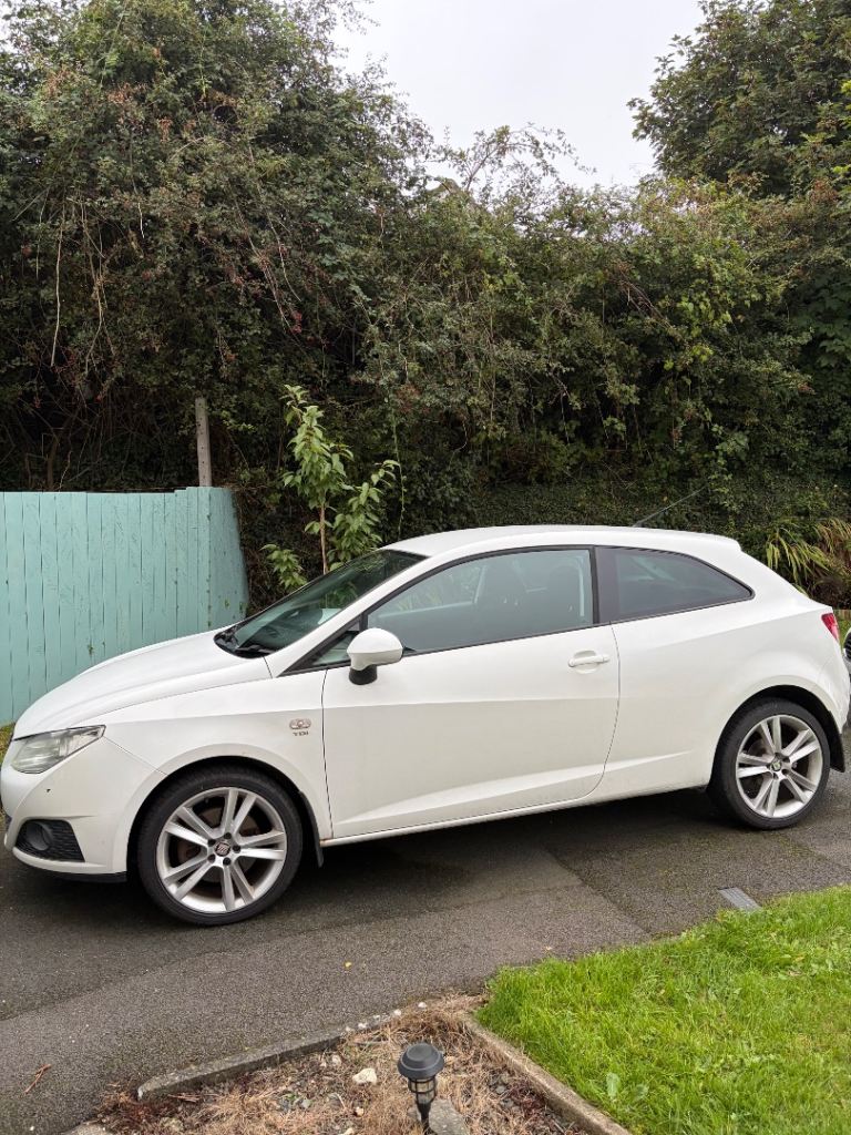 Seat IBIZA 1.6 TDI - Remapped for economy and DPF Delete
