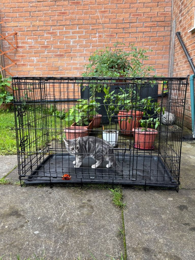 Pet Cat Cage