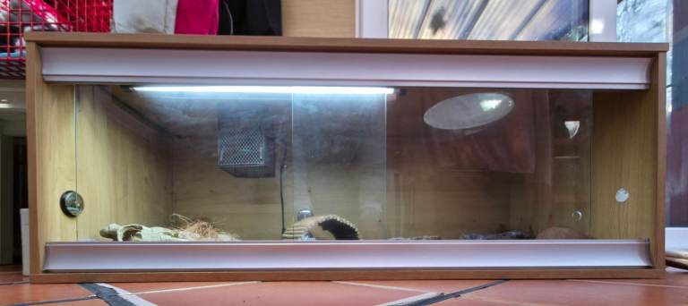 4ft Vivarium, Ready Setup 
