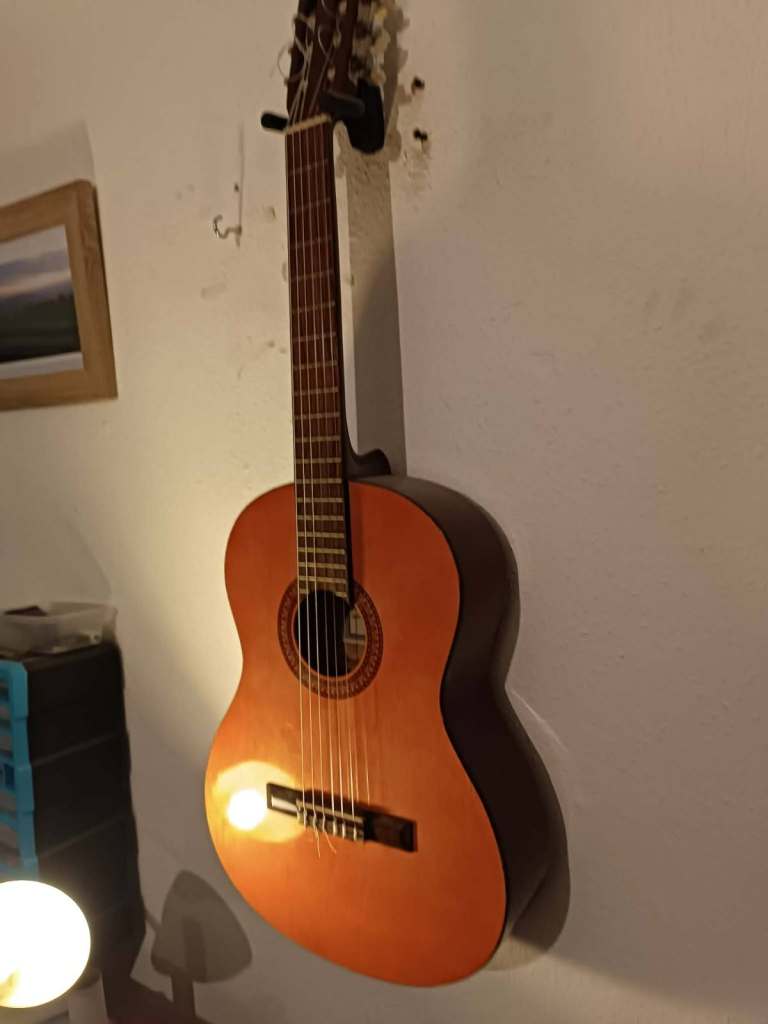 Peavey International Series Nylon-Strung Classical Guitar.