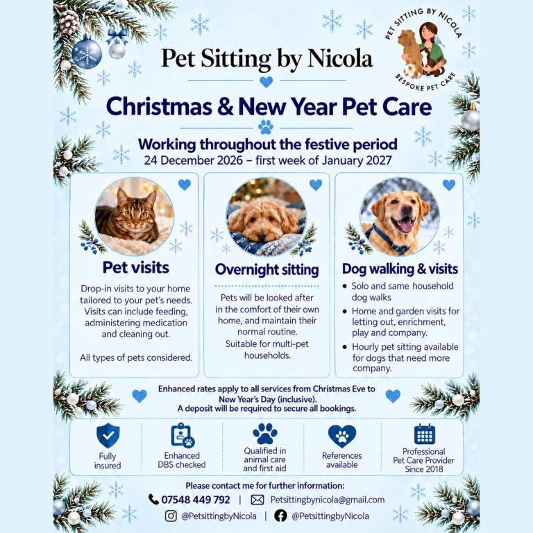 🎄 Christmas & New Year pet care 🎄