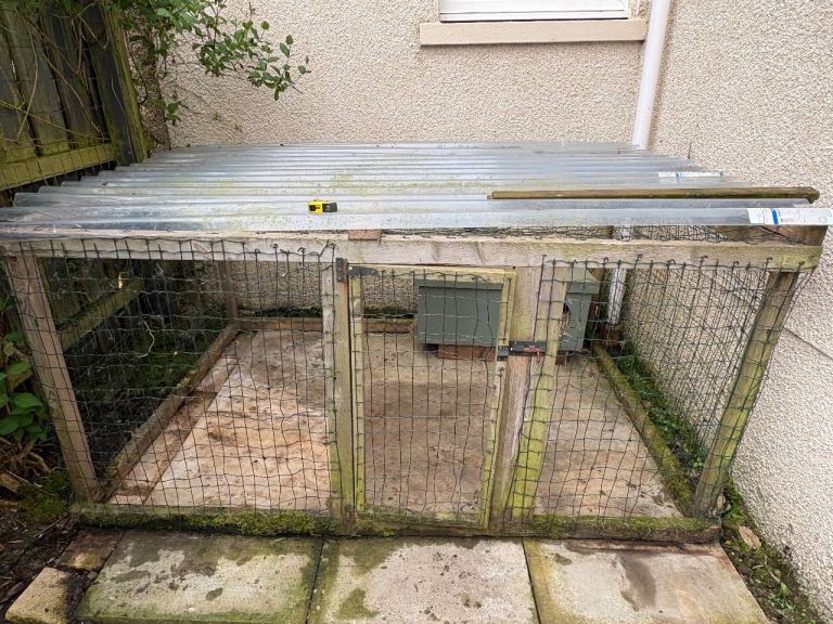 Rabbit Run 