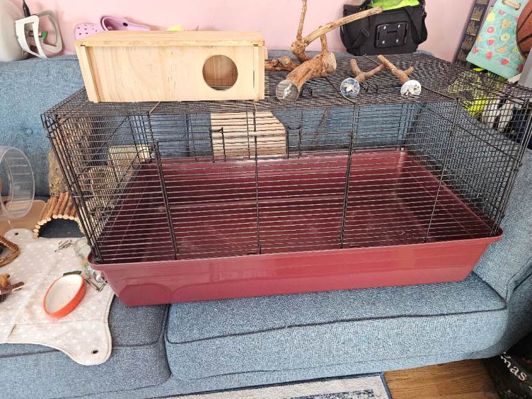 Hamster cage and accessories 
