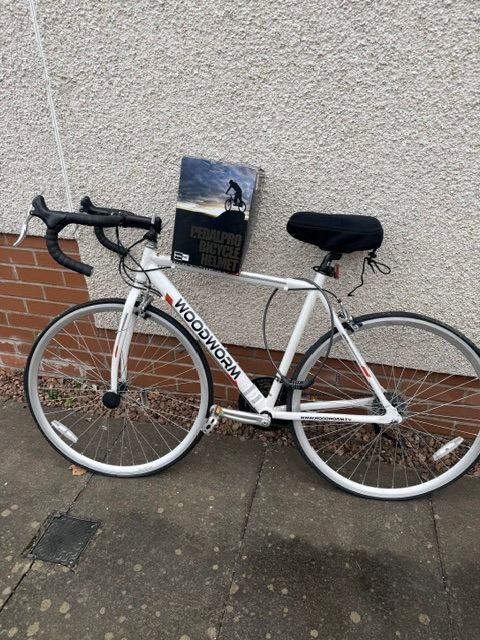 Woodworm white lightening racing bike