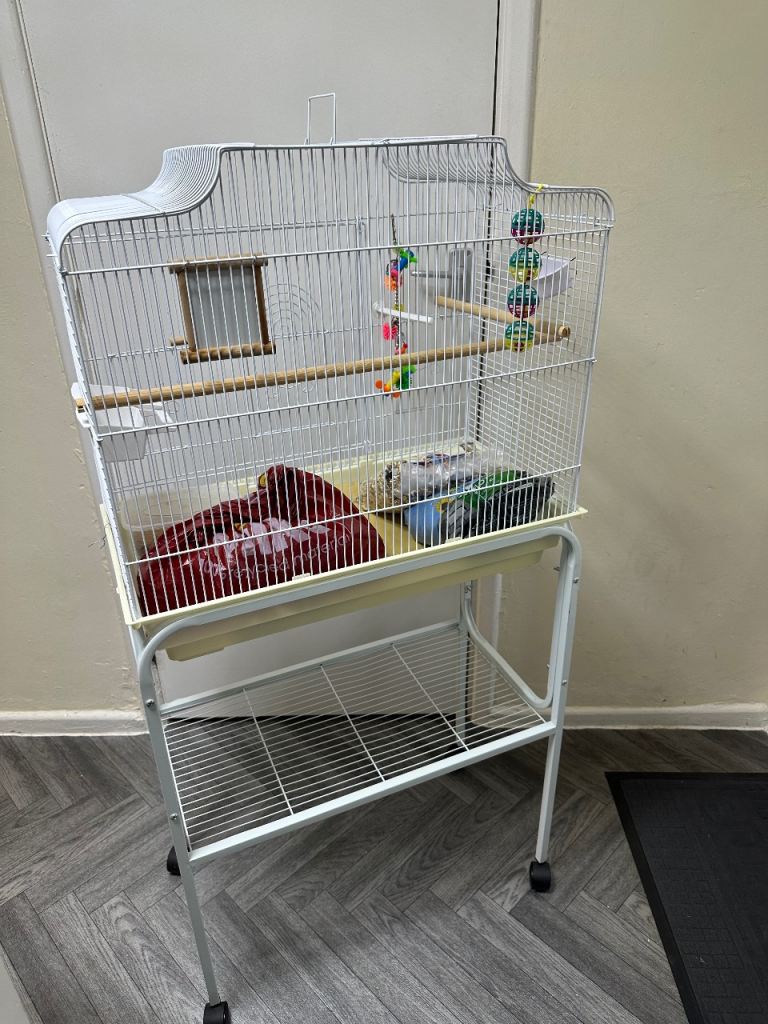 Parrot cage