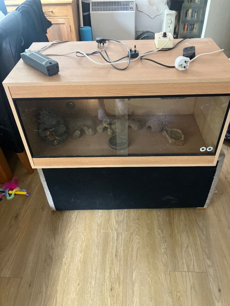 3ft reptile viv. Complete set up 