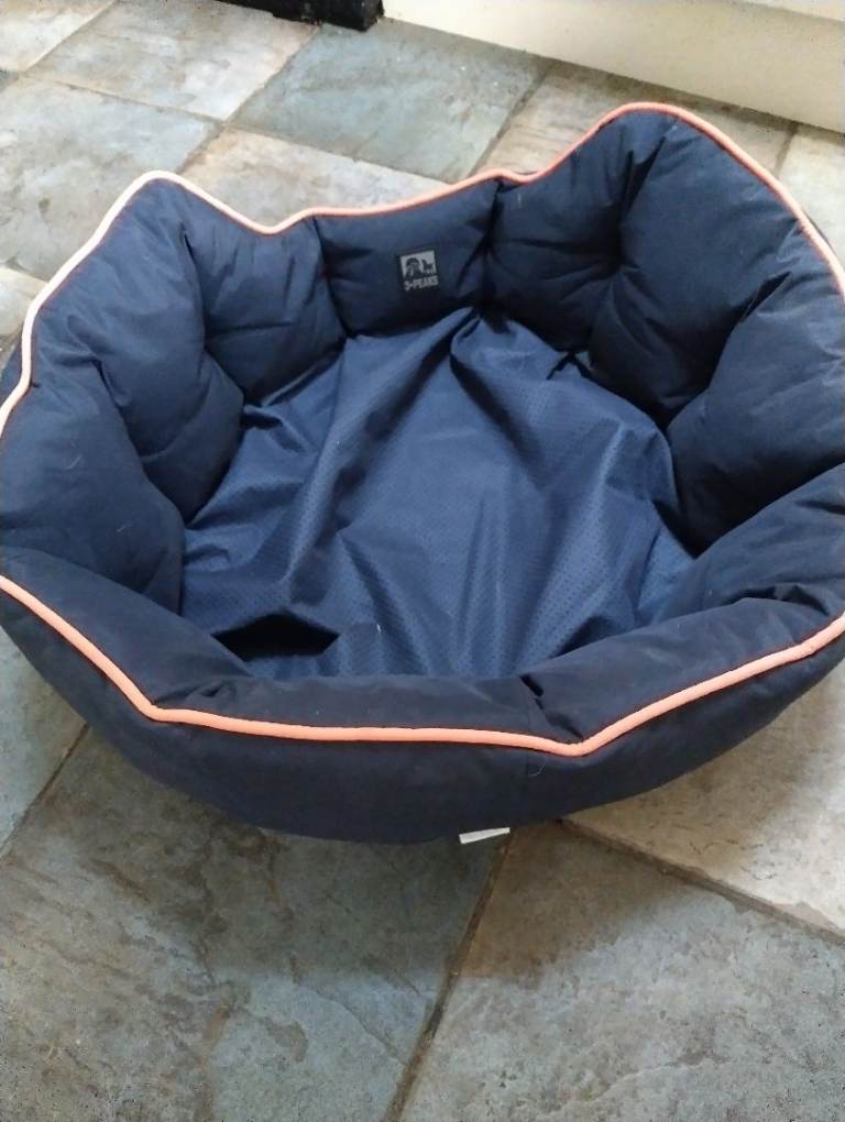Dog bed