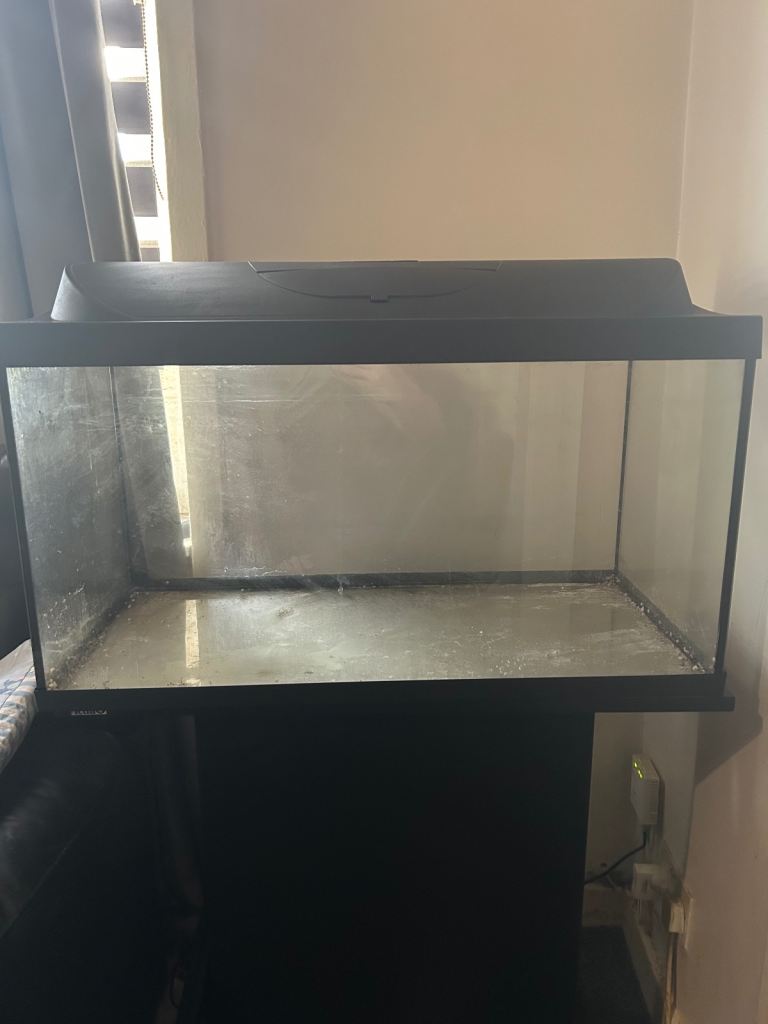 Fish tank 