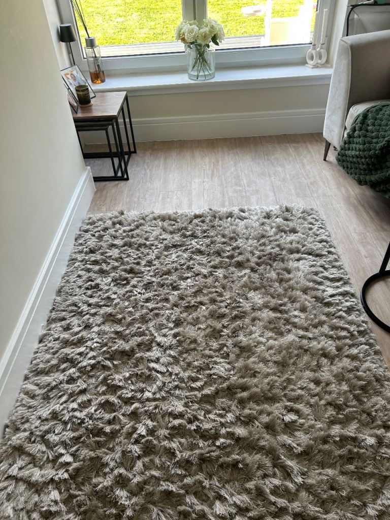 Living room rug excellent condition