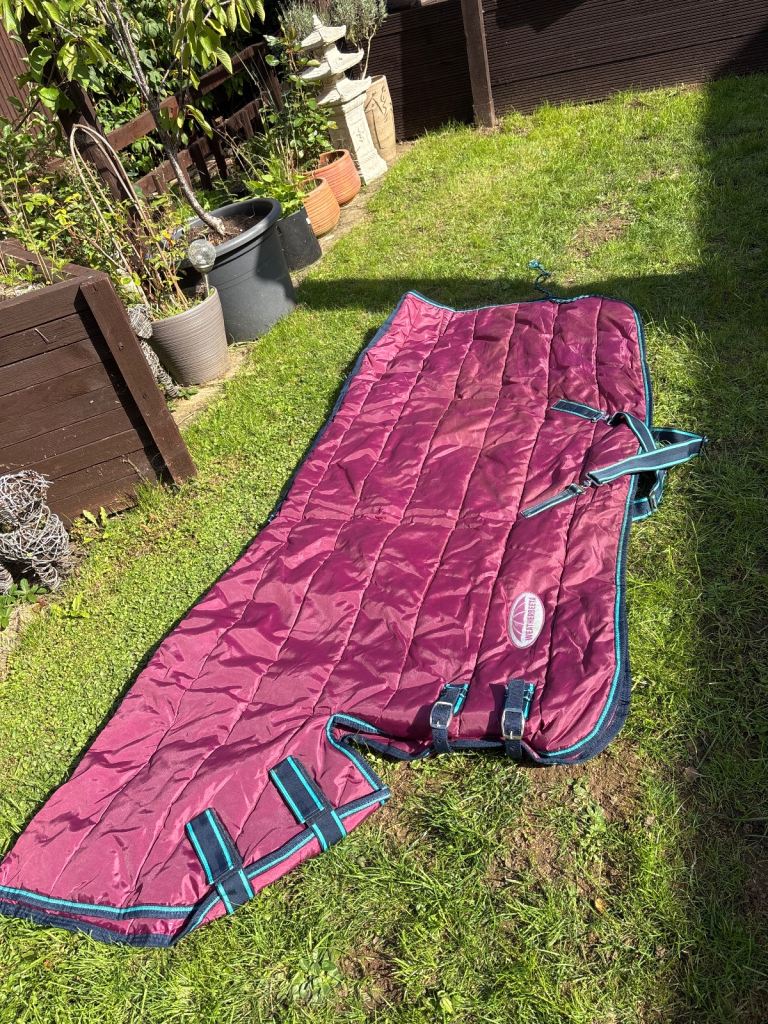 Horse stable rug