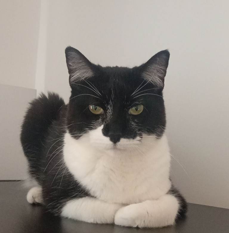 Beautiful Lovely Ruby. 