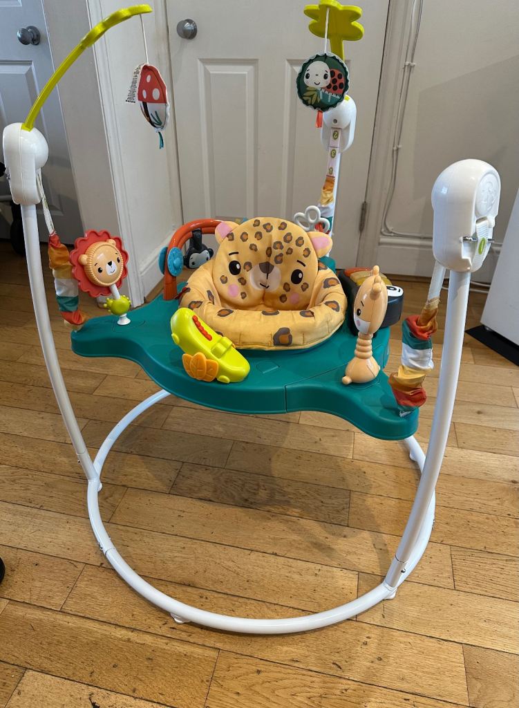 Fisher Price Jumperoo