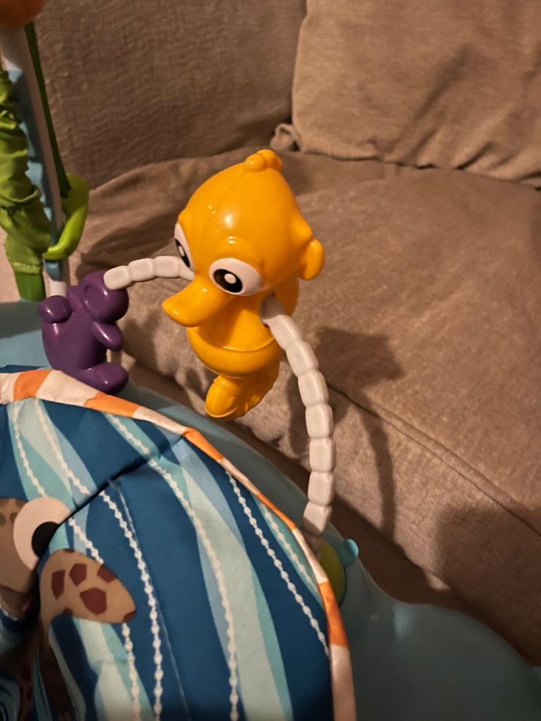 Finding Nemo jumperoo