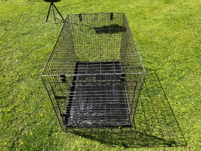 Large dog cage 