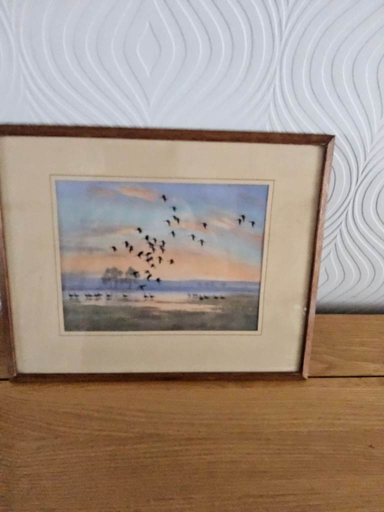 Vintage Peter Scott Print White Fronts On Flood Water 1959